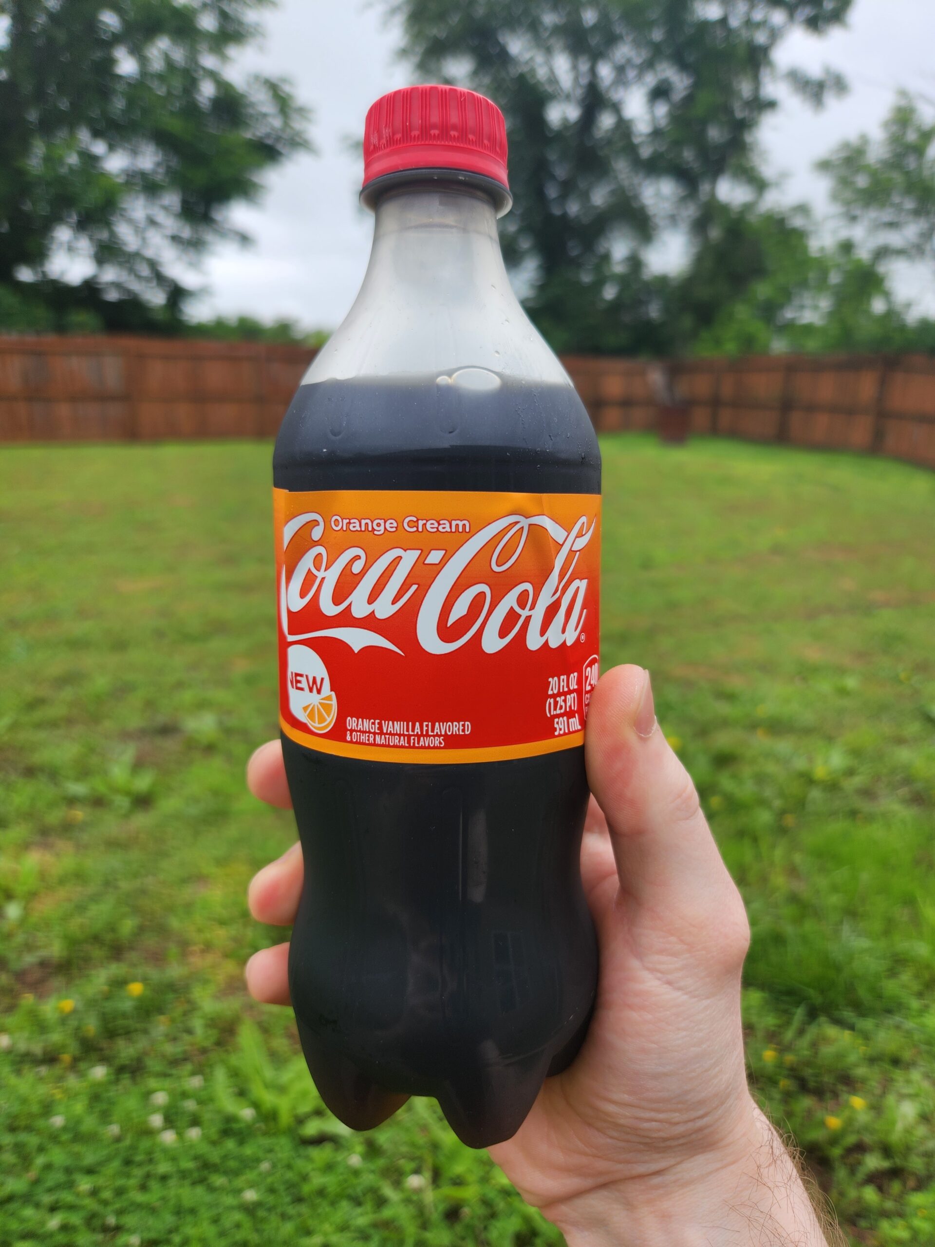 Coca-Cola Orange Cream Review