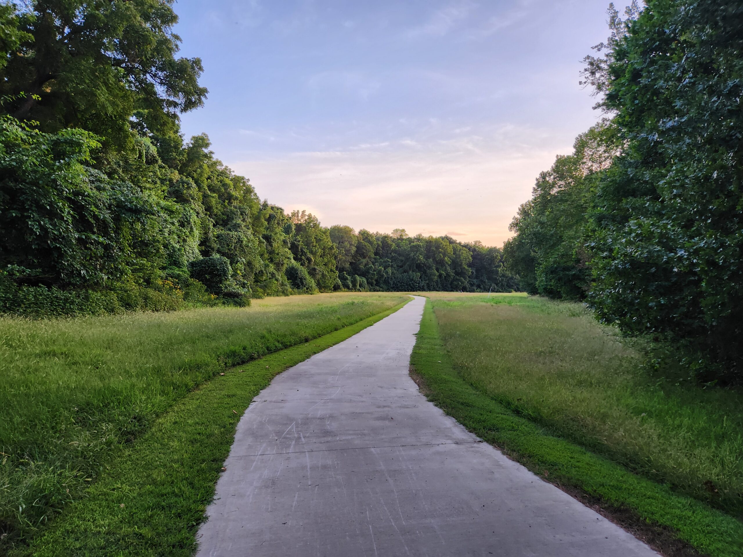 Trail & Greenery Shot at Lost Hill Park