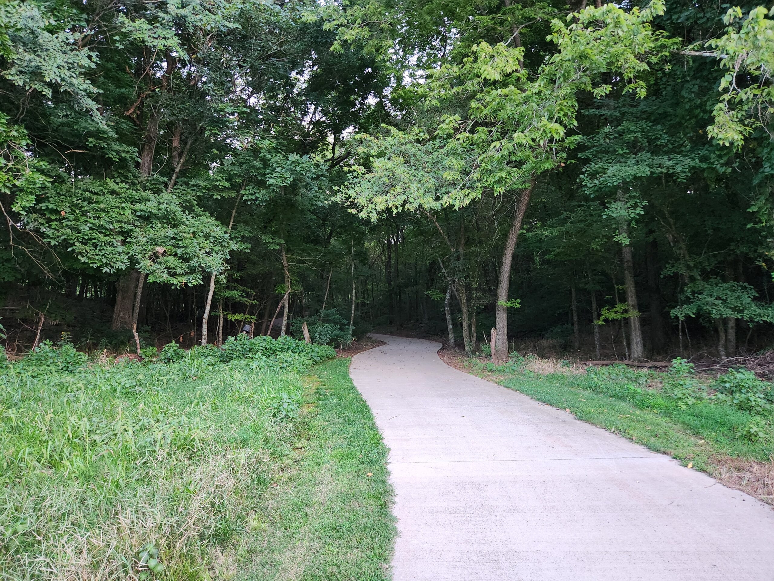 Trail Road Leading into the Woods