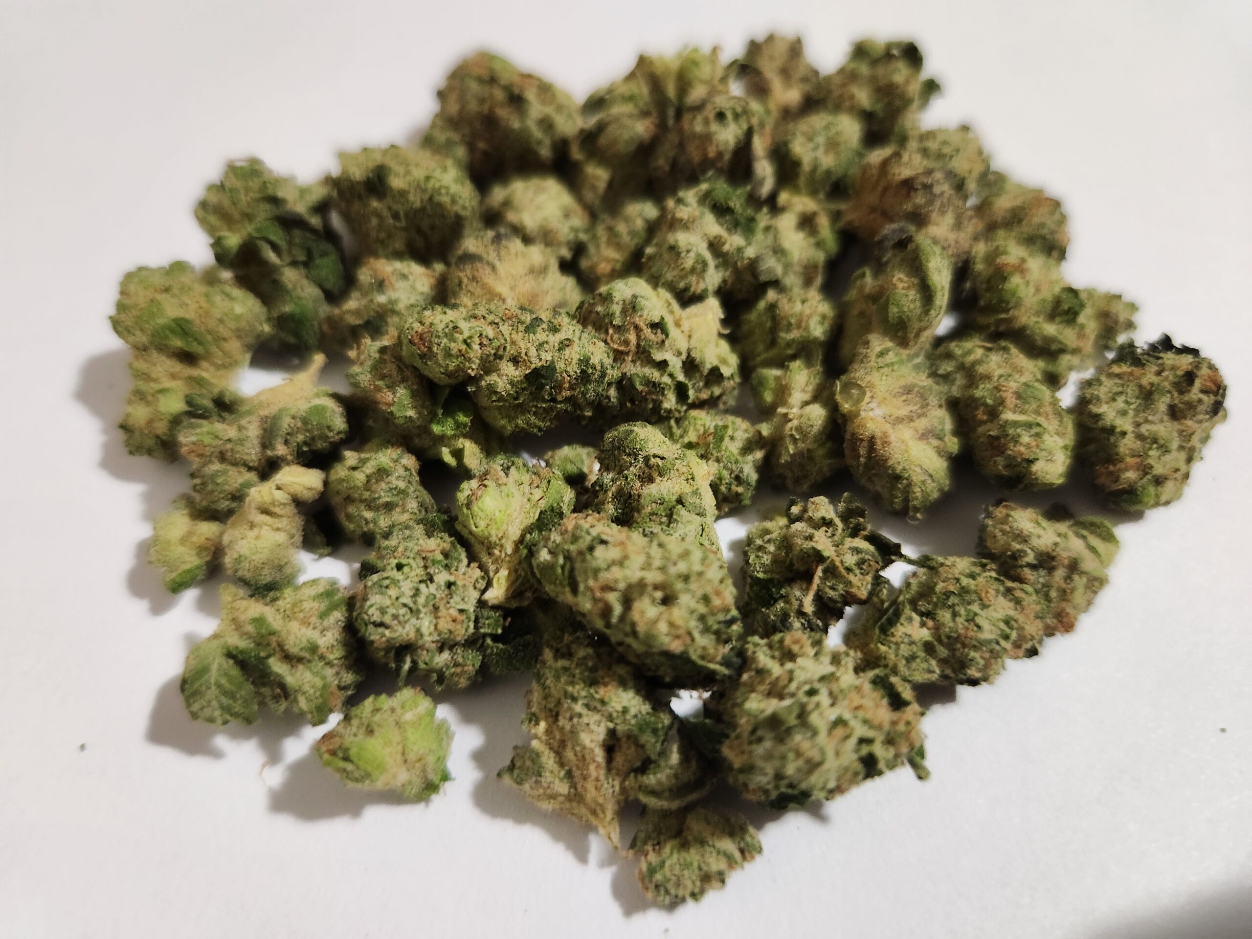 Pile of Weed Buds Closeup