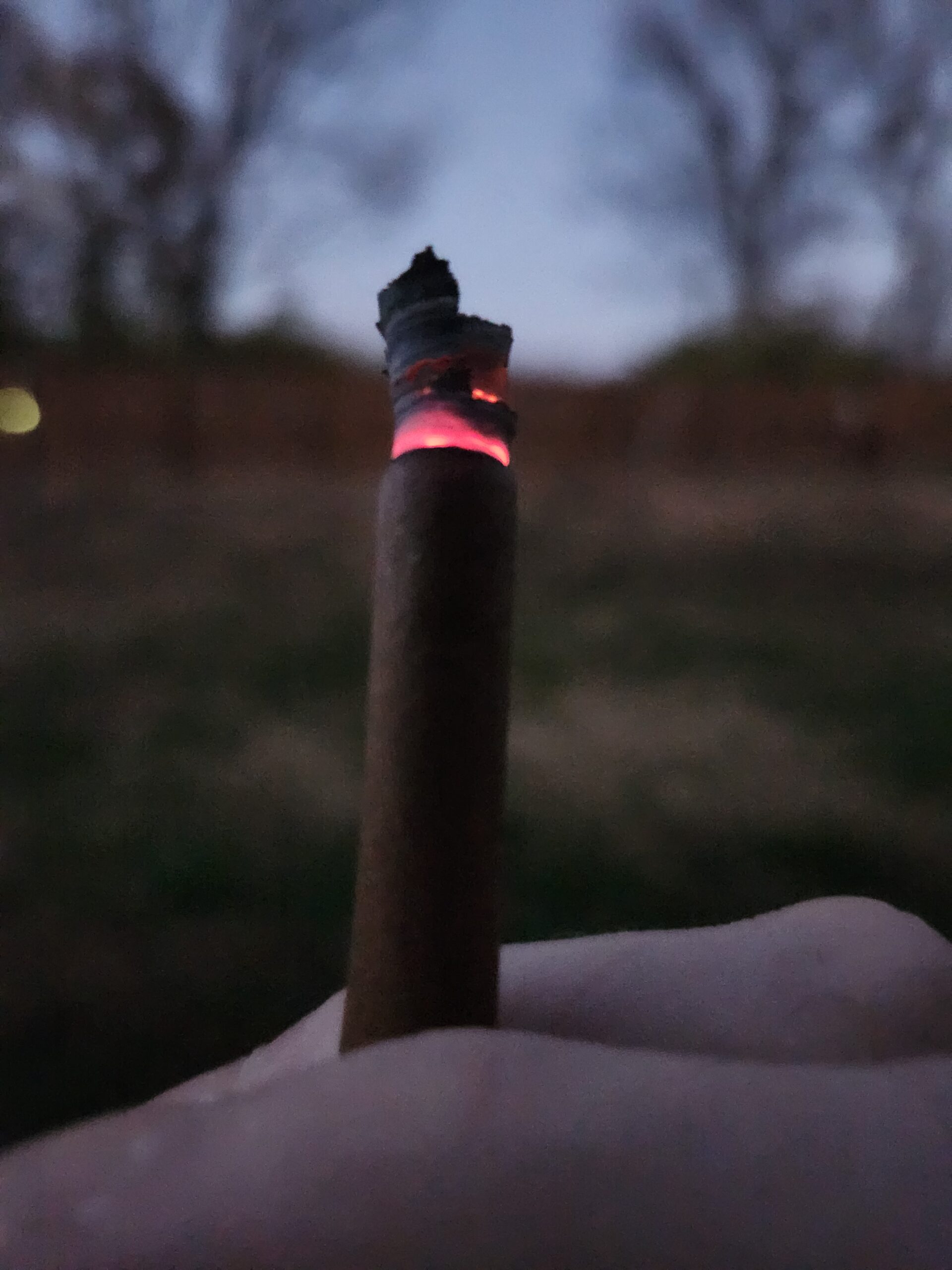 Small Blunt (Marijuana)