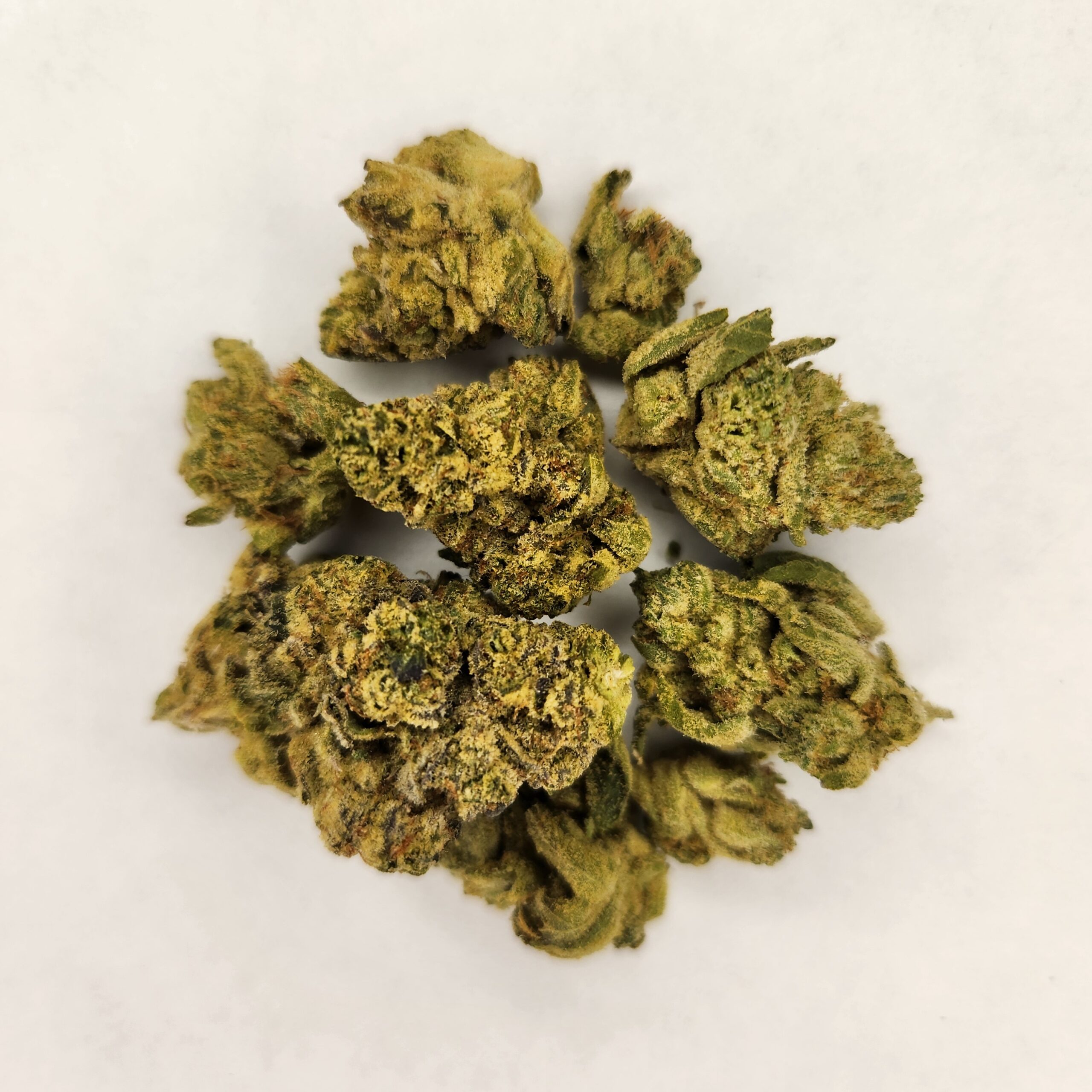Marijuana Buds Close-Up Displayed on a White Sheet of Paper