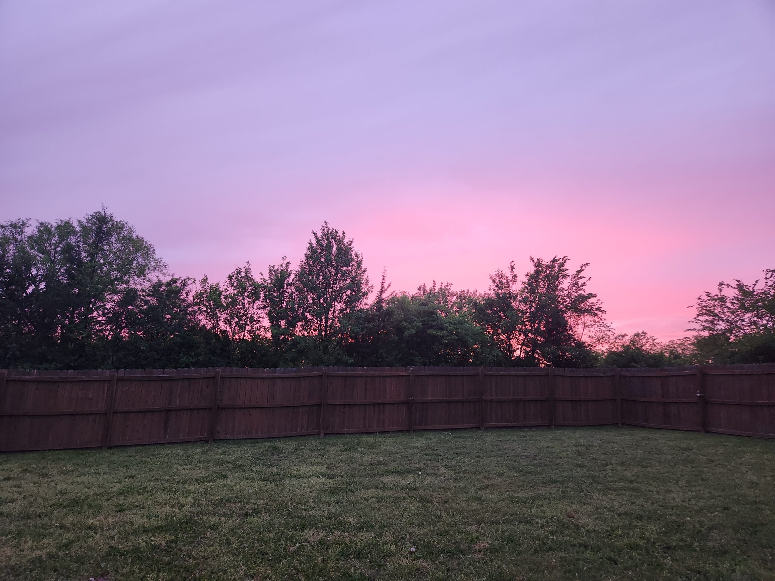 Pink Sunset