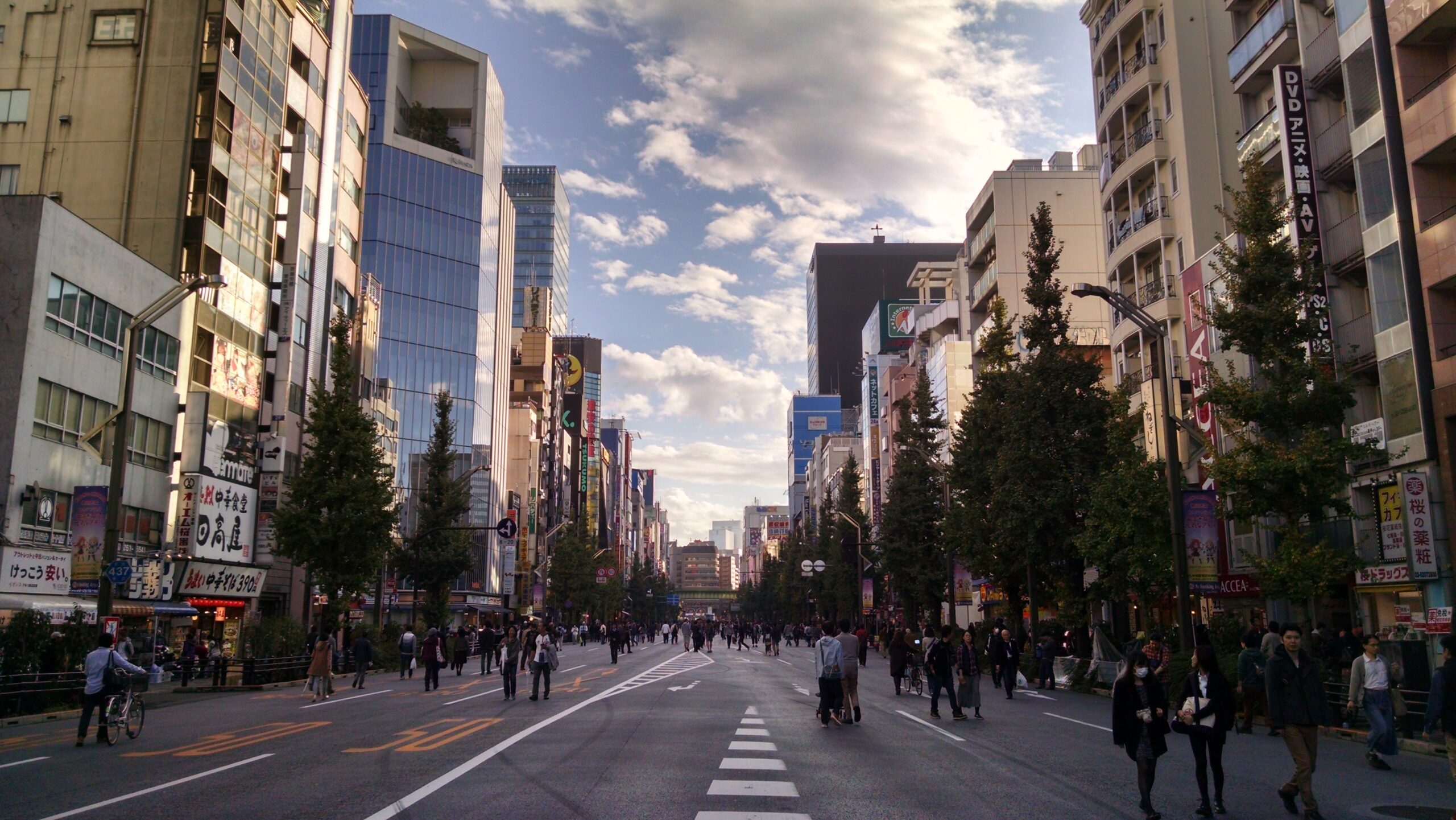 Candid Street Shot in Akihabara
