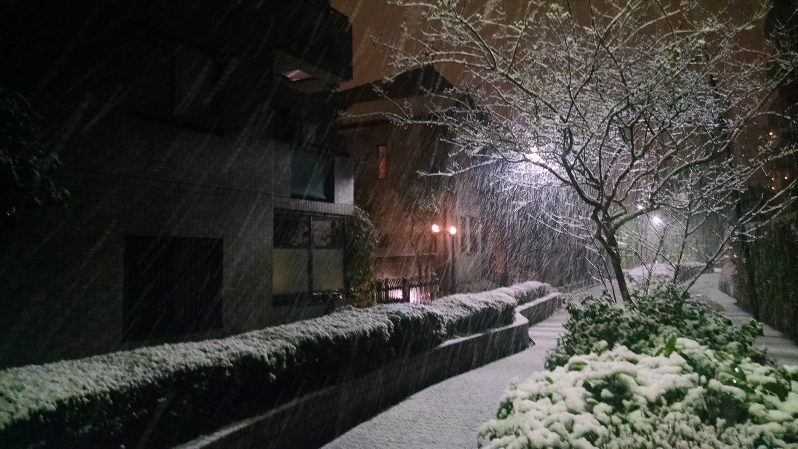 Snow on the Brick Road in West Ikebukuro